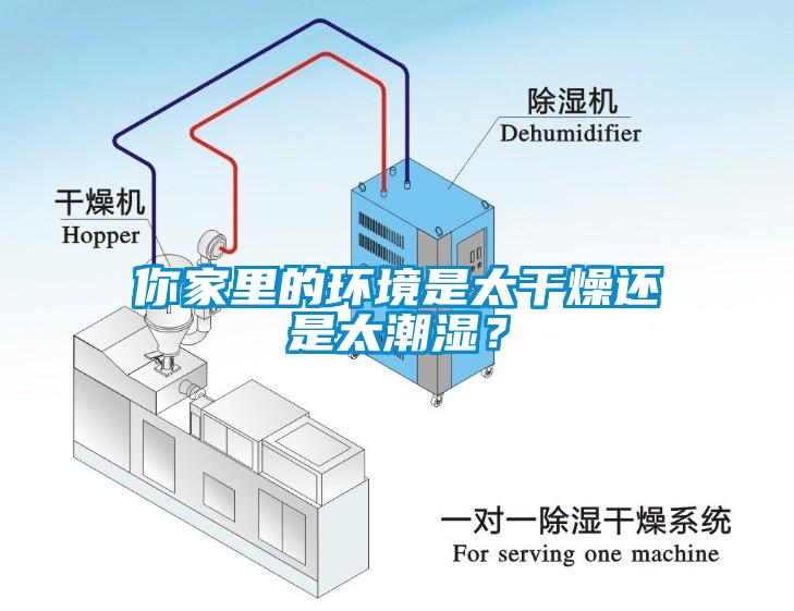 你家里的環境是太干燥還是太潮濕？