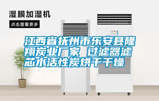 江西省撫州市樂安縣隆翔炭業廠家 過濾器濾芯水活性炭烘干干燥