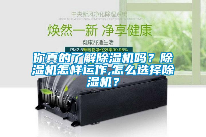 你真的了解除濕機嗎？除濕機怎樣運作,怎么選擇除濕機？