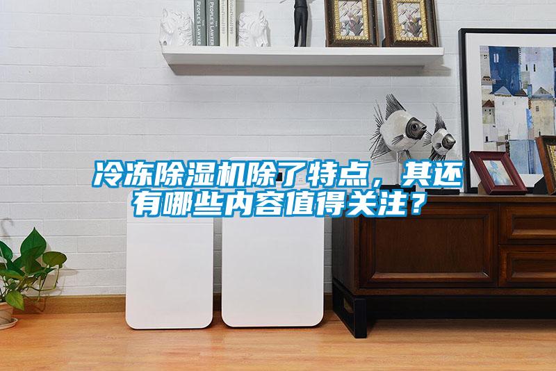 冷凍除濕機除了特點，其還有哪些內容值得關注？