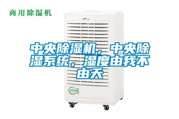 中央除濕機，中央除濕系統，濕度由我不由天