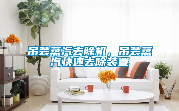 吊裝蒸汽去除機(jī)，吊裝蒸汽快速去除裝置