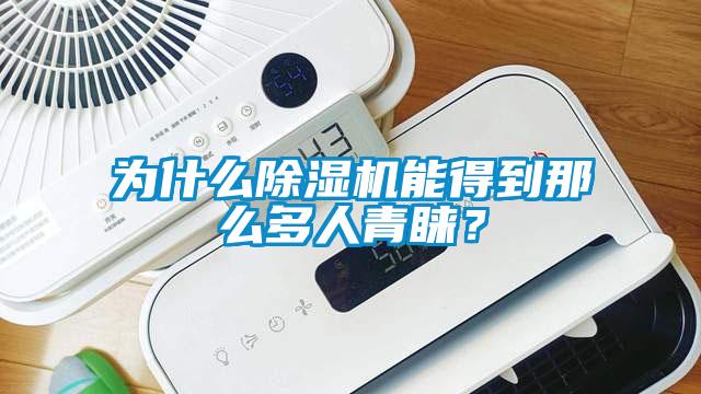 為什么除濕機能得到那么多人青睞？