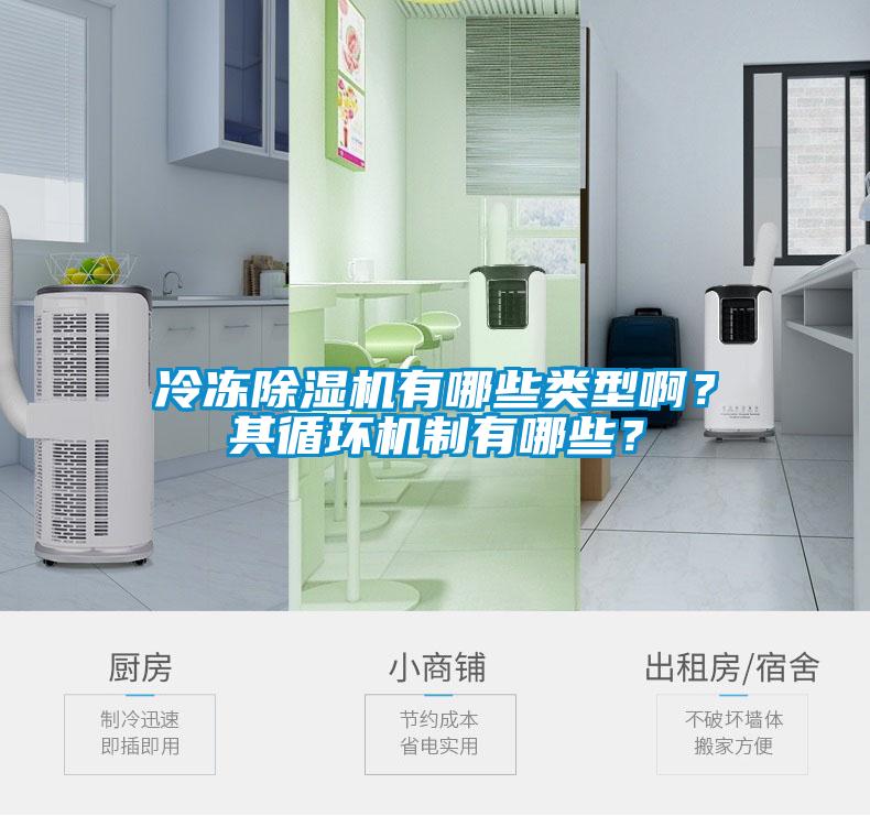 冷凍除濕機(jī)有哪些類型啊？其循環(huán)機(jī)制有哪些？