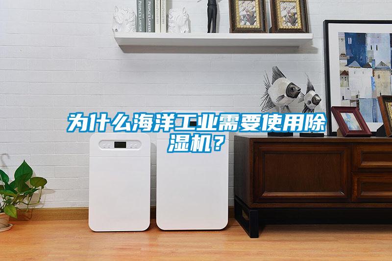 為什么海洋工業需要使用除濕機？