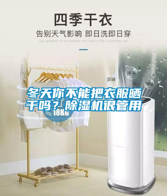 冬天你不能把衣服曬干嗎？除濕機很管用