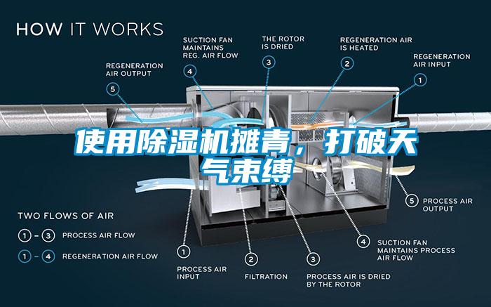 使用除濕機攤青，打破天氣束縛