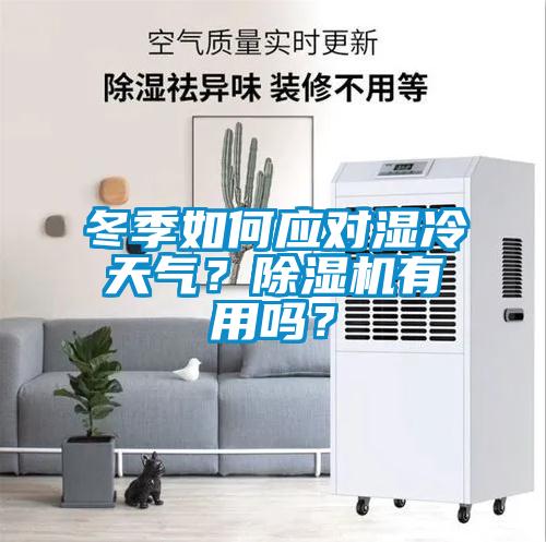 冬季如何應對濕冷天氣？除濕機有用嗎？