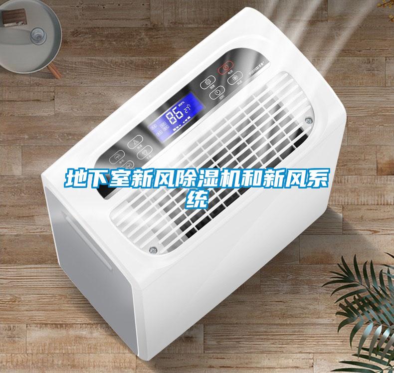 地下室新風(fēng)除濕機和新風(fēng)系統(tǒng)