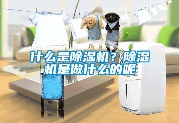 什么是除濕機(jī)？除濕機(jī)是做什么的呢