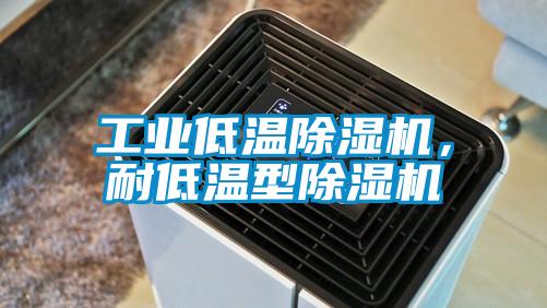 工業(yè)低溫除濕機(jī)，耐低溫型除濕機(jī)