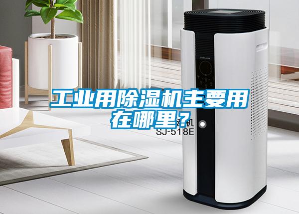 工業用除濕機主要用在哪里？