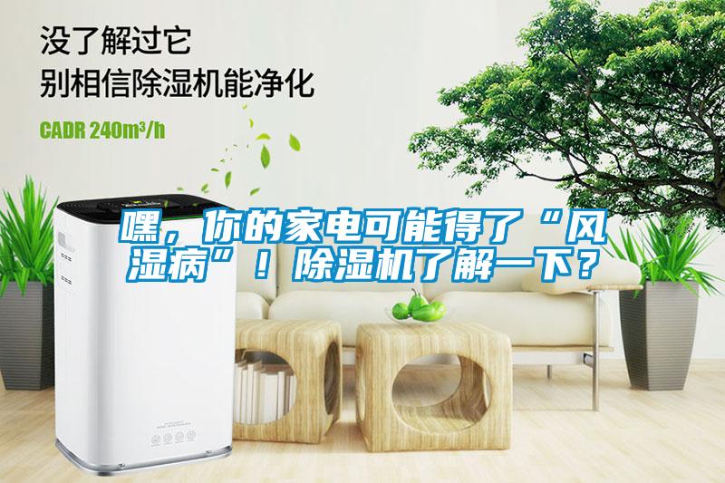 嘿，你的家電可能得了“風濕病”！除濕機了解一下？