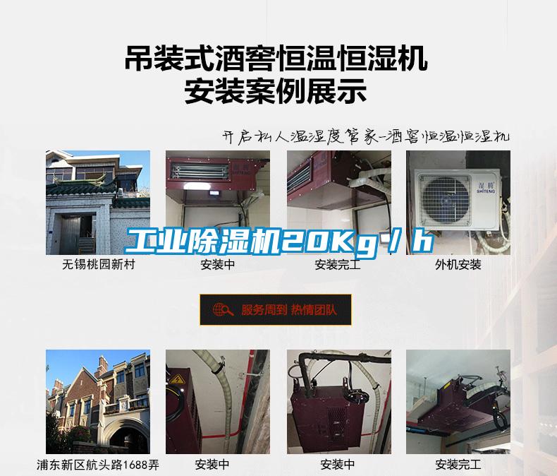 工業(yè)除濕機20Kg／h