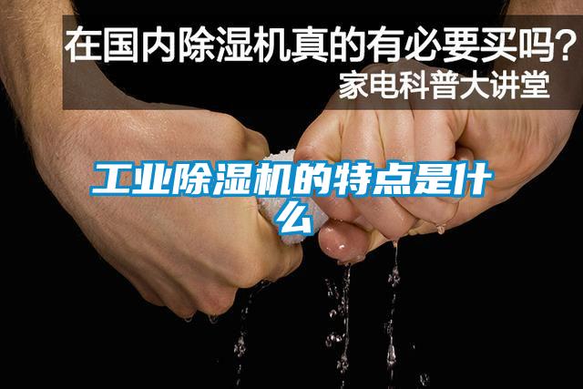工業(yè)除濕機(jī)的特點是什么