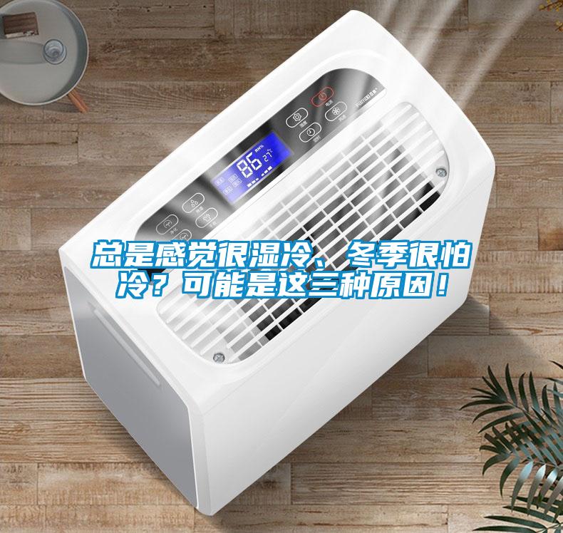總是感覺很濕冷、冬季很怕冷？可能是這三種原因！
