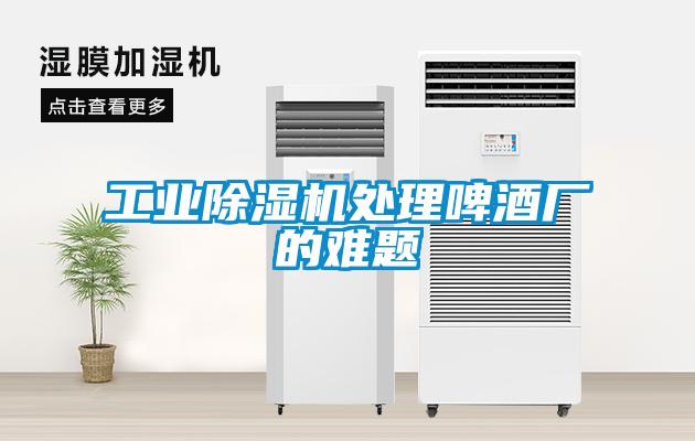 工業除濕機處理啤酒廠的難題