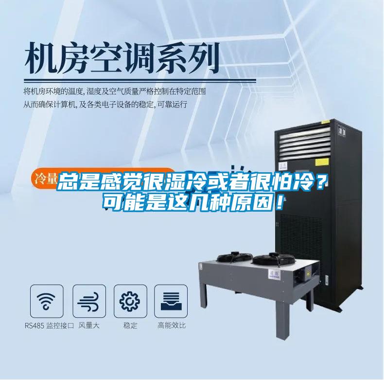 總是感覺很濕冷或者很怕冷？可能是這幾種原因！