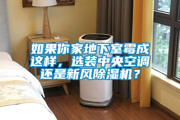 如果你家地下室霉成這樣，選裝中央空調還是新風除濕機？
