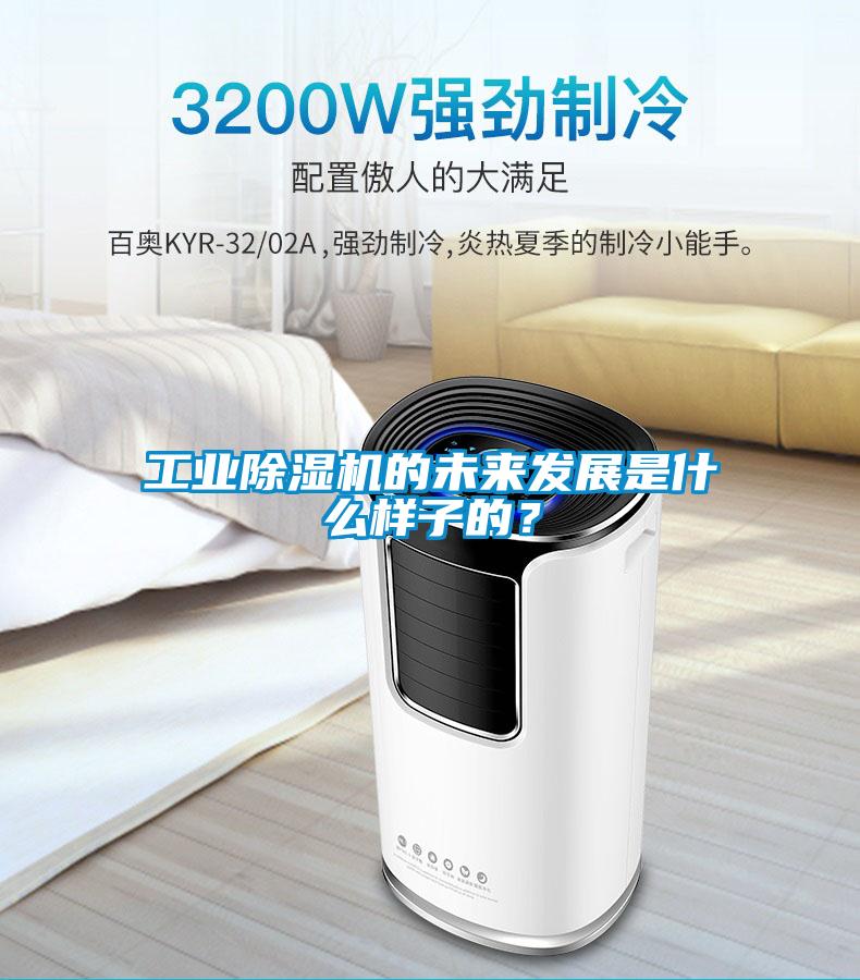 工業(yè)除濕機的未來發(fā)展是什么樣子的？