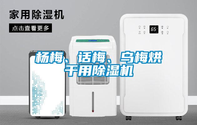 楊梅、話梅、烏梅烘干用除濕機