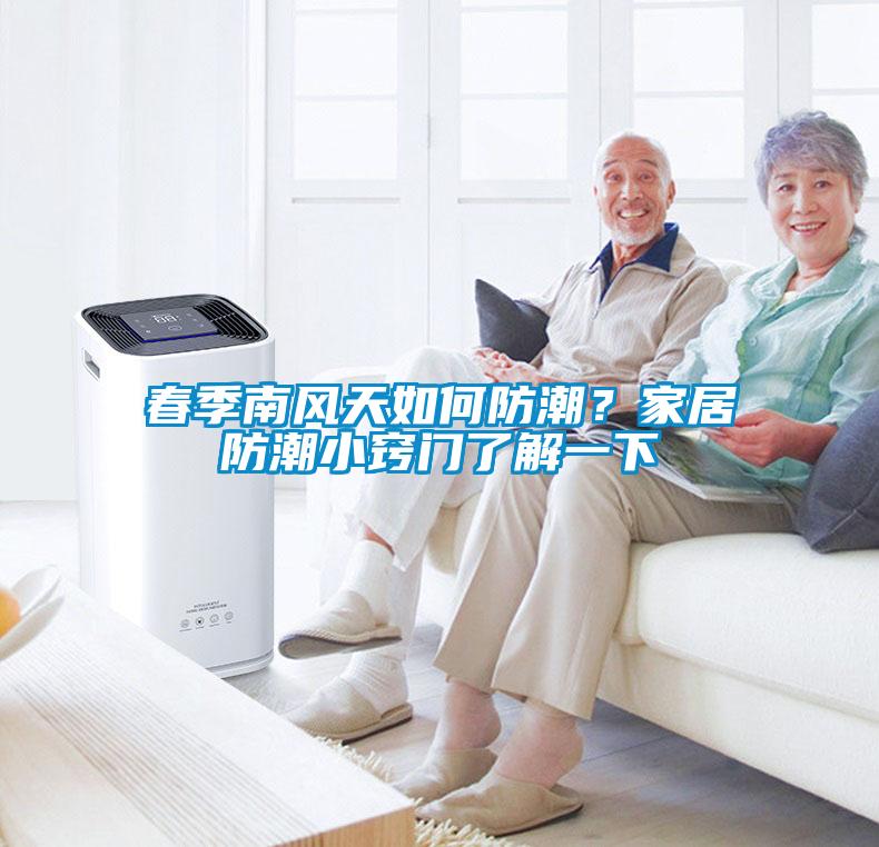 春季南風(fēng)天如何防潮？家居防潮小竅門(mén)了解一下