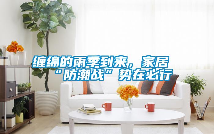 纏綿的雨季到來，家居“防潮戰”勢在必行