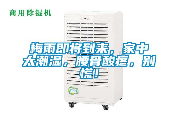 梅雨即將到來，家中太潮濕，腰骨酸疼，別慌！