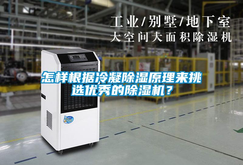 怎樣根據冷凝除濕原理來挑選優秀的除濕機？
