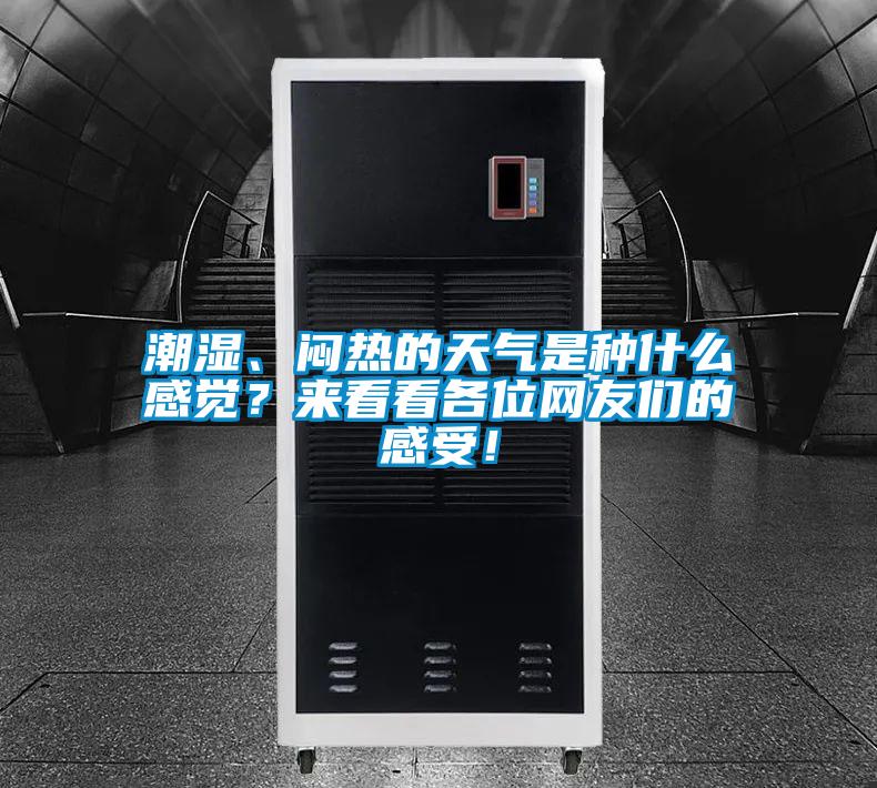 潮濕、悶熱的天氣是種什么感覺？來看看各位網(wǎng)友們的感受！