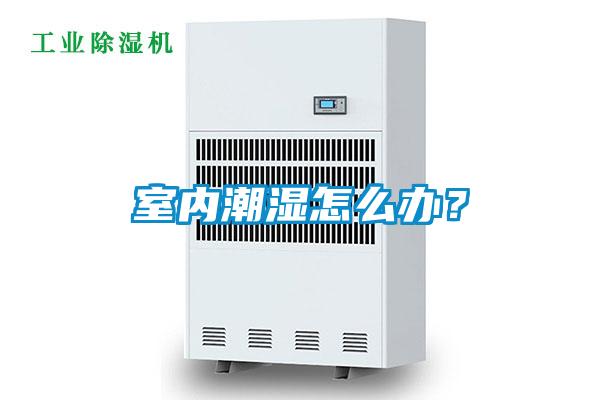 室內(nèi)潮濕怎么辦？