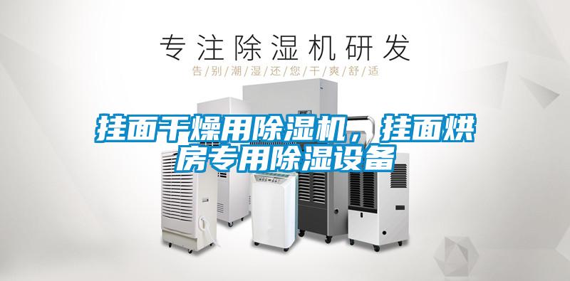 掛面干燥用除濕機(jī)，掛面烘房專用除濕設(shè)備