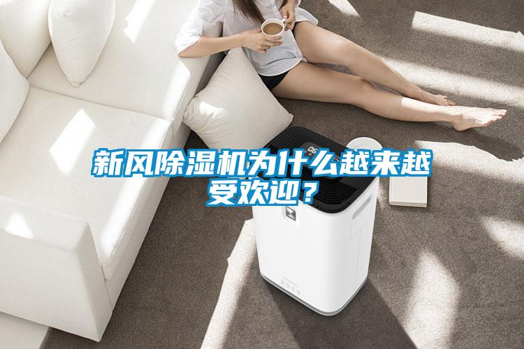 新風除濕機為什么越來越受歡迎？