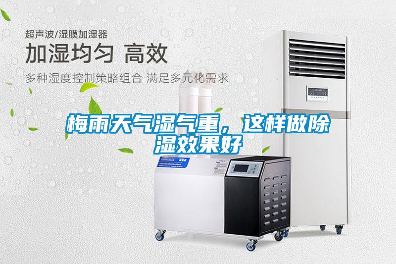 梅雨天氣濕氣重，這樣做除濕效果好