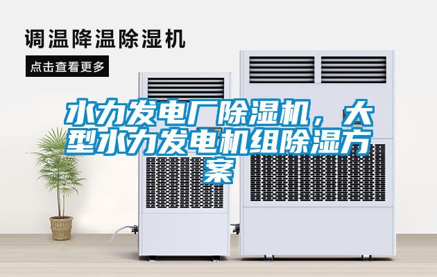 水力發(fā)電廠除濕機，大型水力發(fā)電機組除濕方案