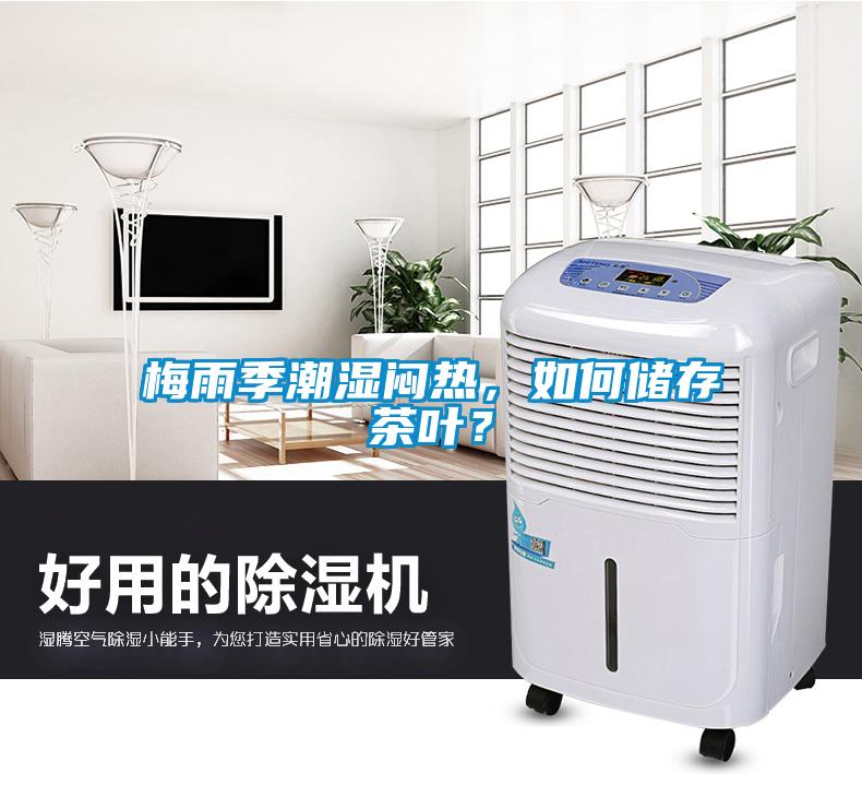 梅雨季潮濕悶熱，如何儲存茶葉？