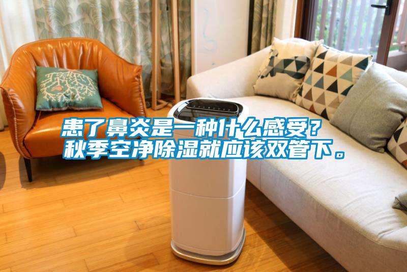 患了鼻炎是一種什么感受？ 秋季空凈除濕就應該雙管下。
