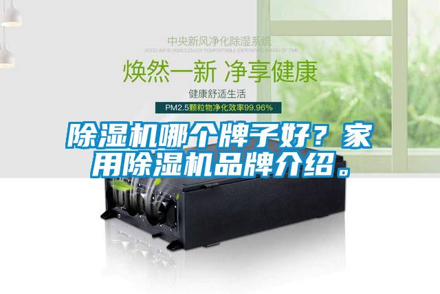 除濕機哪個牌子好？家用除濕機品牌介紹。