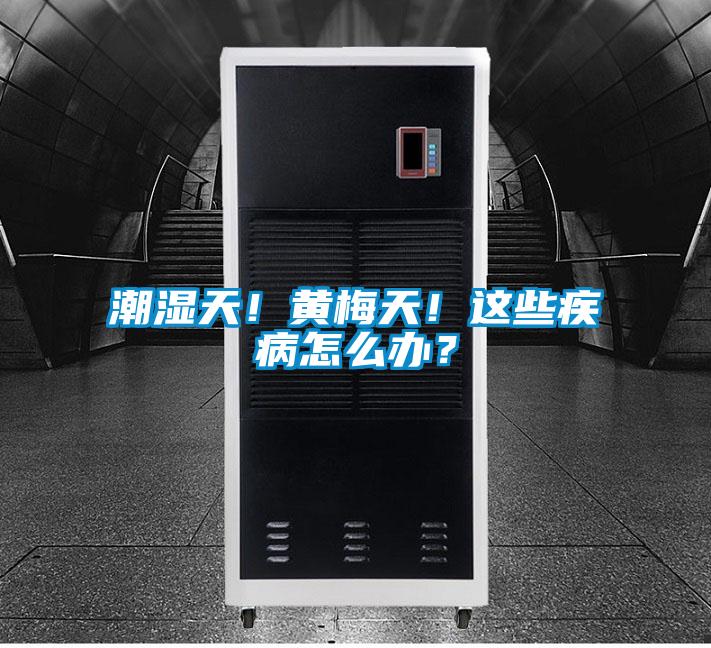 潮濕天！黃梅天！這些疾病怎么辦？