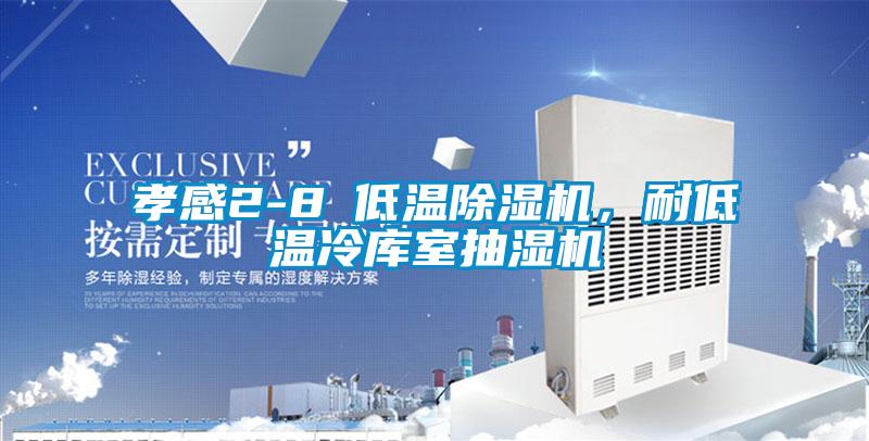 孝感2-8℃低溫除濕機，耐低溫冷庫室抽濕機