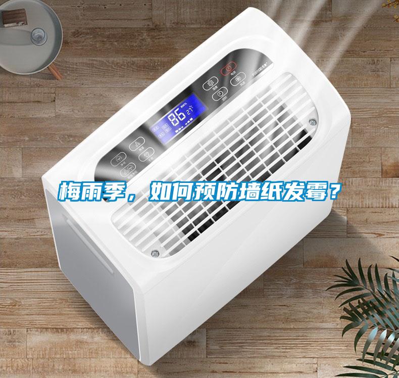 梅雨季，如何預(yù)防墻紙發(fā)霉？