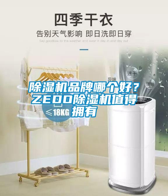 除濕機品牌哪個好？ZEDO除濕機值得擁有