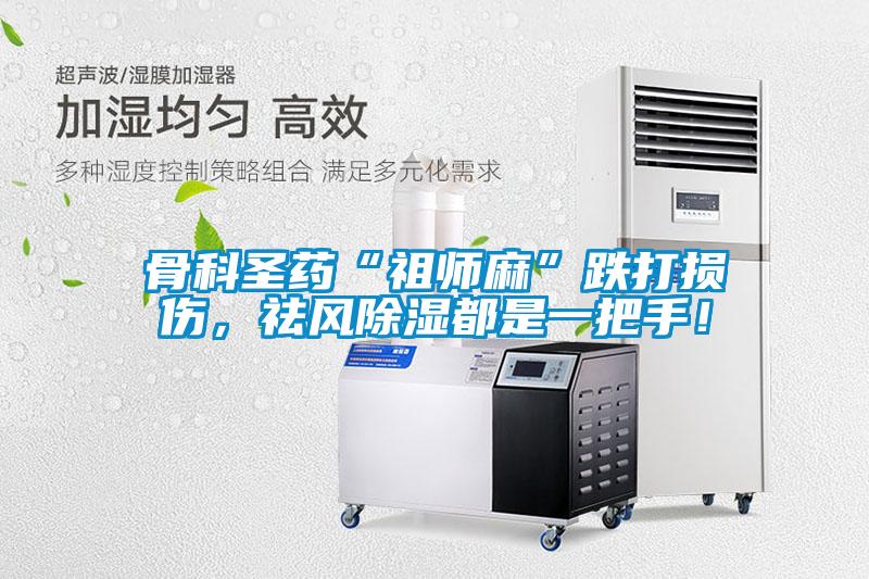 骨科圣藥“祖師麻”跌打損傷，祛風除濕都是一把手！