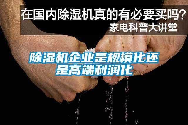 除濕機(jī)企業(yè)是規(guī)?；€是高端利潤(rùn)化