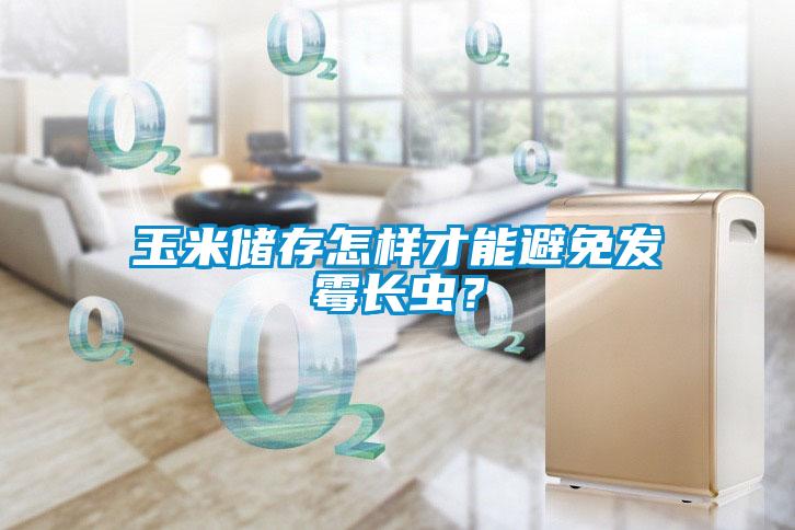 玉米儲存怎樣才能避免發霉長蟲？