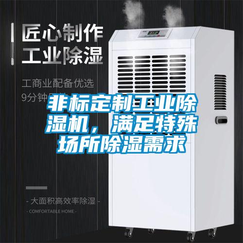 非標定制工業除濕機，滿足特殊場所除濕需求