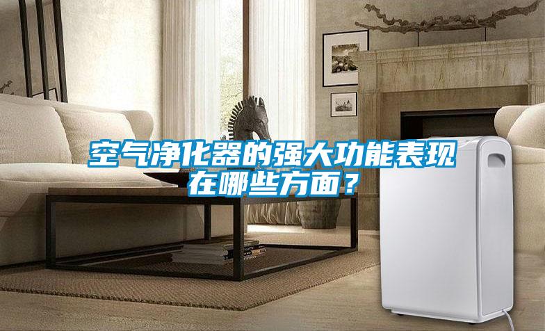 空氣凈化器的強大功能表現在哪些方面？