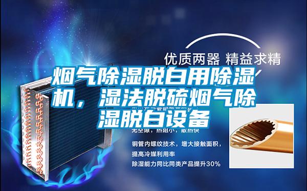 煙氣除濕脫白用除濕機，濕法脫硫煙氣除濕脫白設(shè)備