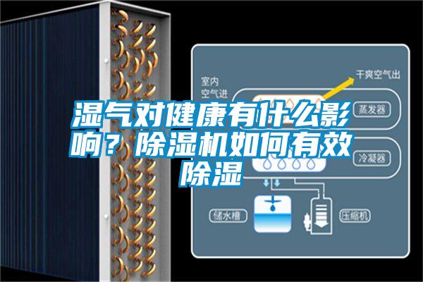 濕氣對健康有什么影響？除濕機(jī)如何有效除濕