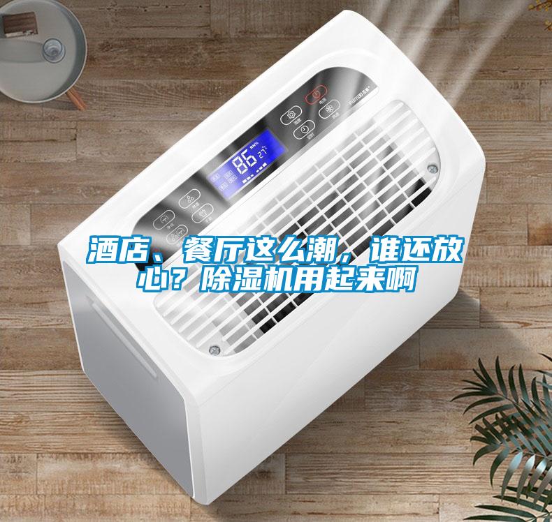 酒店、餐廳這么潮，誰(shuí)還放心？除濕機(jī)用起來(lái)啊